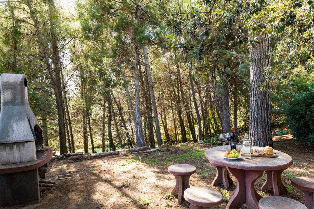 Villa Cesarina Amazing Villa With Private Pool In The Tuscan Hills 卡萨莱马里蒂莫 外观 照片