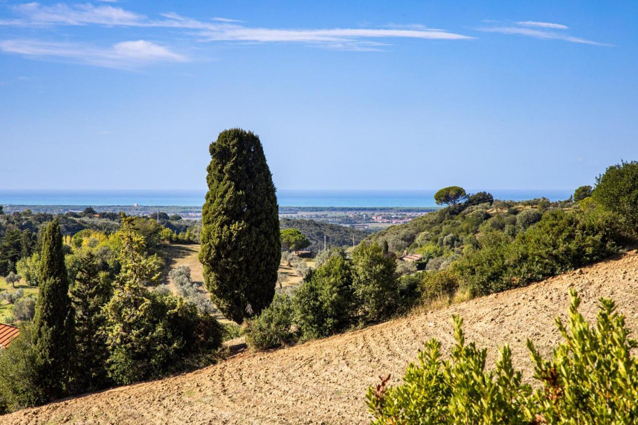 Villa Cesarina Amazing Villa With Private Pool In The Tuscan Hills 卡萨莱马里蒂莫 外观 照片