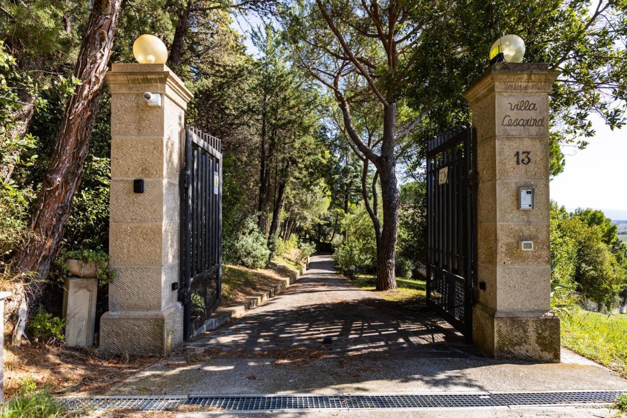 Villa Cesarina Amazing Villa With Private Pool In The Tuscan Hills 卡萨莱马里蒂莫 外观 照片